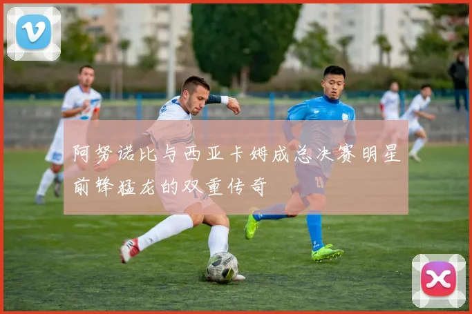 阿努诺比与西亚卡姆成总决赛明星前锋猛龙的双重传奇